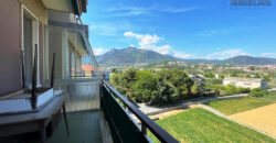 BILOCALE –  VIA MICHELANGELO (QUOTA 20) – 500 m DAL MARE – BORGHETTO S.SPIRITO