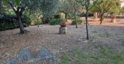 TRILOCALE CON GIARDINO CONDOMINIALE –  VIA PINELAND (ZONA RESIDENZIALE) – 800 m DAL MARE – BORGHETTO S.SPIRITO