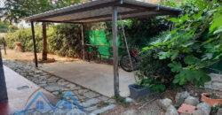 TRILOCALE CON GIARDINO CONDOMINIALE –  VIA PINELAND (ZONA RESIDENZIALE) – 800 m DAL MARE – BORGHETTO S.SPIRITO