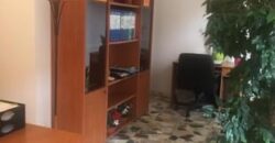 LOCALE COMMERCIALE  30 mq –  VIA PONTI – BORGHETTO S.SPIRITO