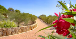 VILLA CON PISCINA IMMERSA NEL VERDE –  VIALE CUGNANA – COSTA SMERALDA – OLBIA