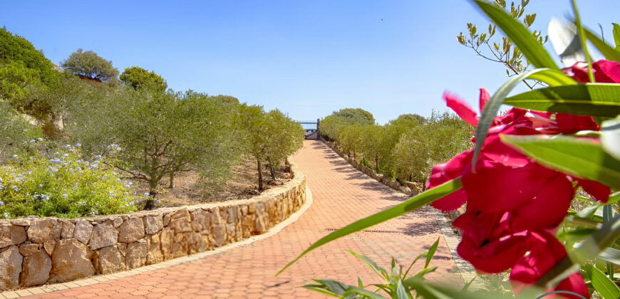 VILLA CON PISCINA IMMERSA NEL VERDE –  VIALE CUGNANA – COSTA SMERALDA – OLBIA