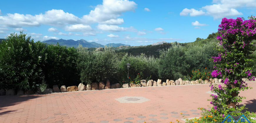 VILLA CON PISCINA IMMERSA NEL VERDE –  VIALE CUGNANA – COSTA SMERALDA – OLBIA